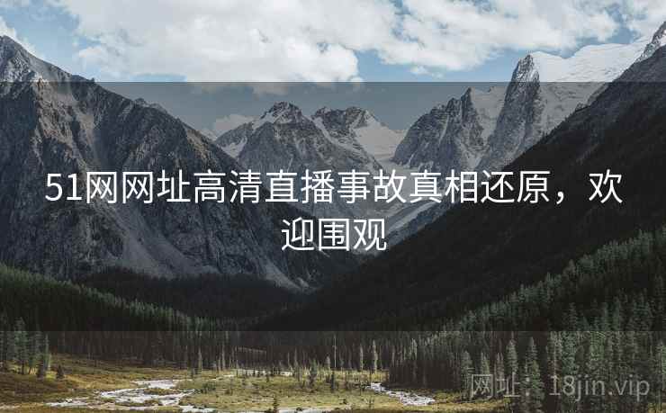 51网网址高清直播事故真相还原，欢迎围观