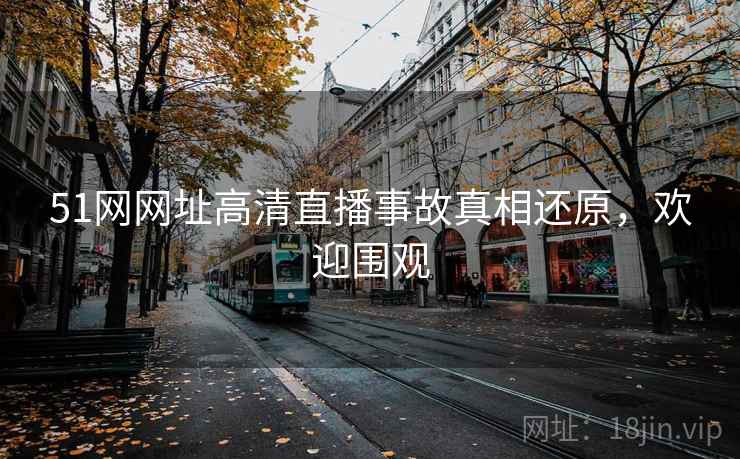51网网址高清直播事故真相还原，欢迎围观