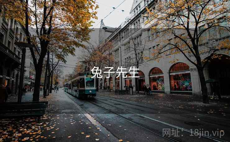 兔子先生