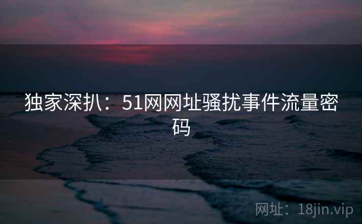 独家深扒:51网网址骚扰事件流量密码