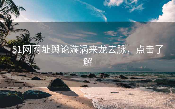 51网网址舆论漩涡来龙去脉，点击了解