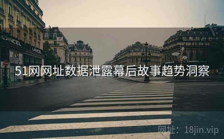 51网网址数据泄露幕后故事趋势洞察