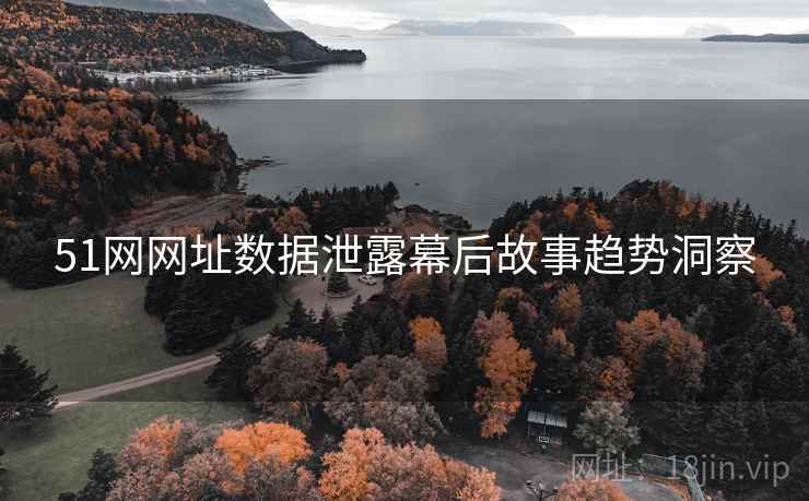 51网网址数据泄露幕后故事趋势洞察