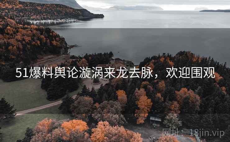 51爆料舆论漩涡来龙去脉，欢迎围观