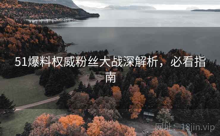51爆料权威粉丝大战深解析，必看指南