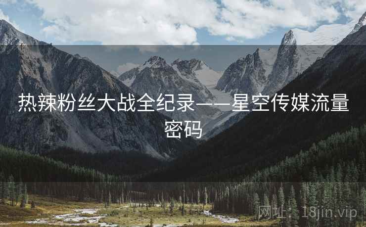 热辣粉丝大战全纪录——星空传媒流量密码