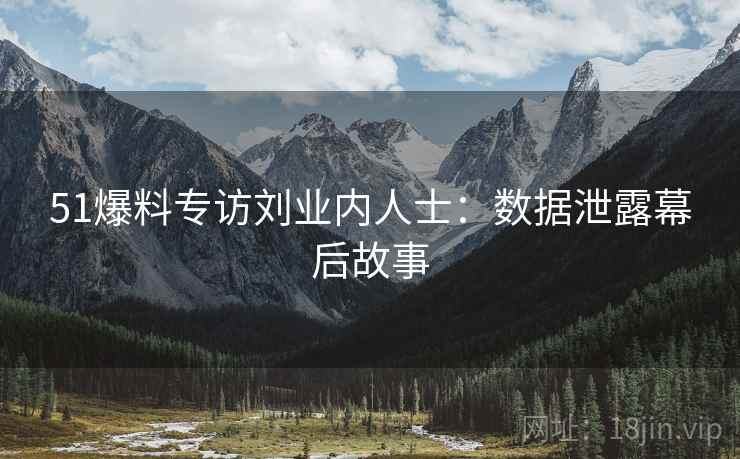 51爆料专访刘业内人士：数据泄露幕后故事
